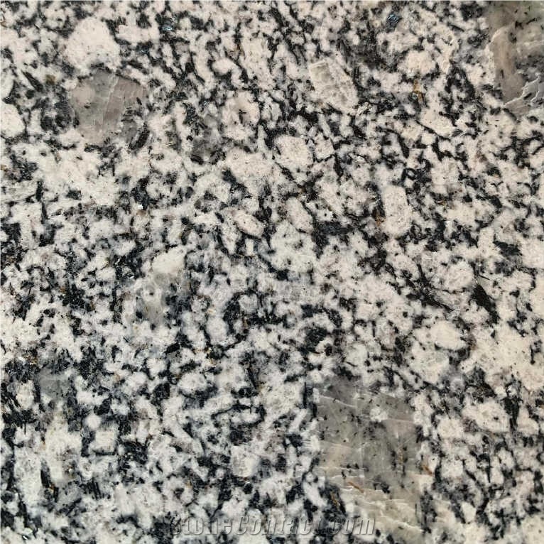 Pessinus Grey Granite 