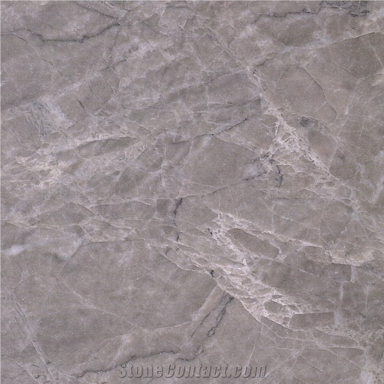 Phelps Grey Marble Tile