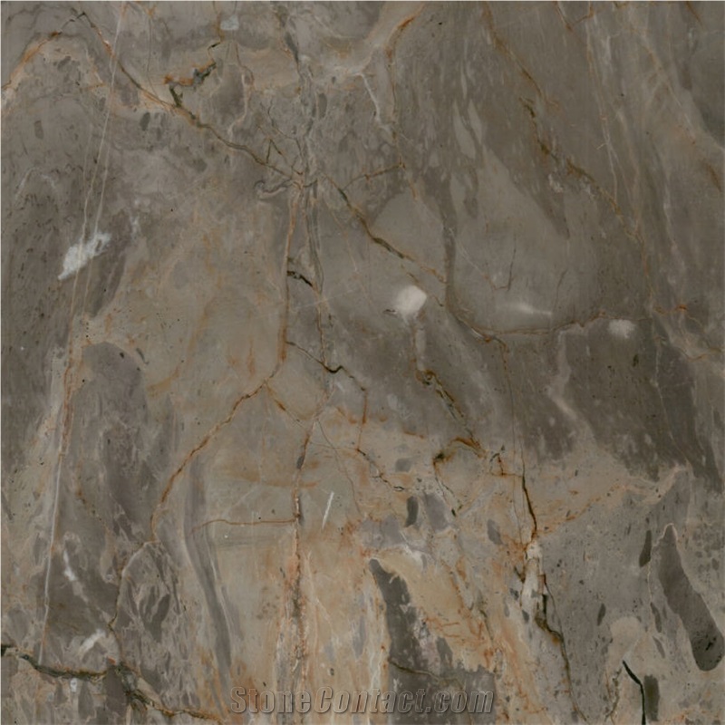 Picasso Grey Marble 