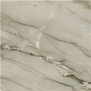 Picasso Silver Quartzite