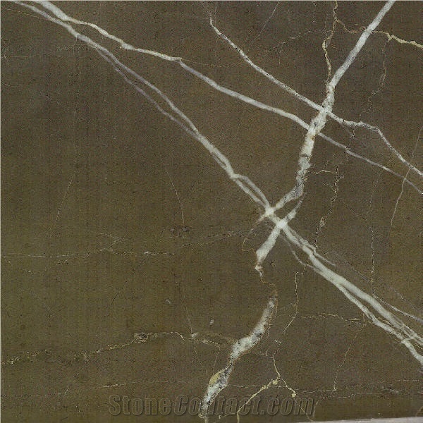 Pietra Brown Marble 