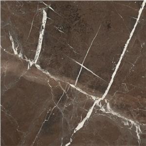 Pietra Brown Marble Tile