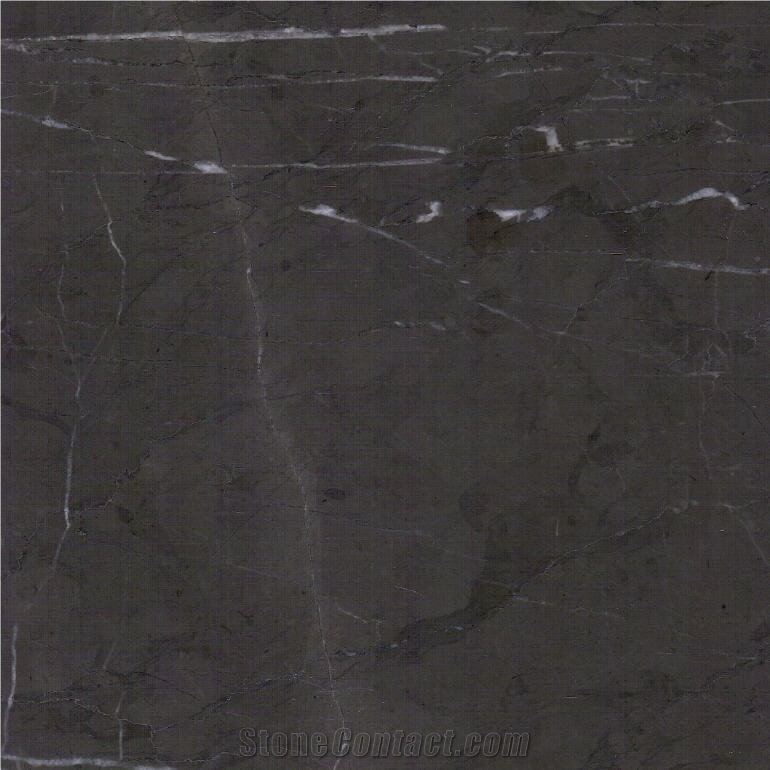 Pietra Grey Graphito Marble Tile