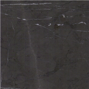 Pietra Grey Graphito Marble Tile