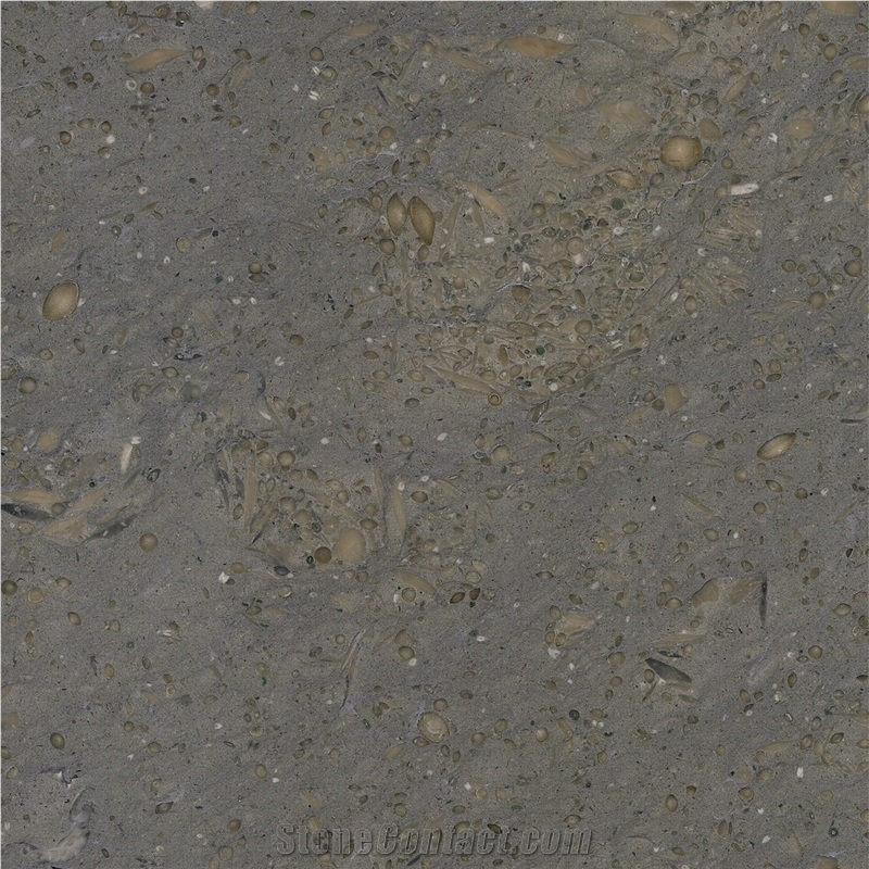 Platinum Gray Limestone 