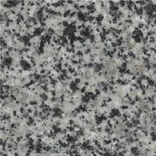Pokostivske Granite Tile