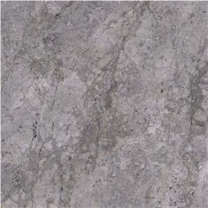 Polar Grey Marble