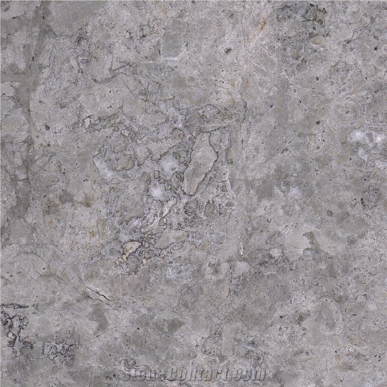 Polar Grey Marble Tile