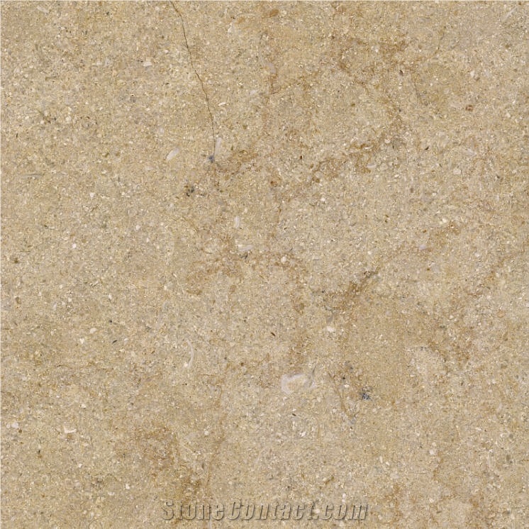 Ramon Gold Limestone