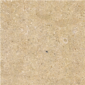 Ramon Gold Limestone