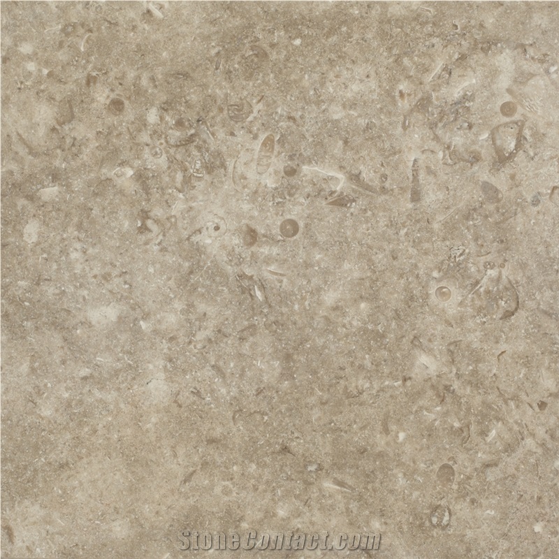 Ramon Grey Limestone Tile
