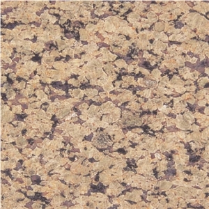 Raniwara Yellow Granite Tile