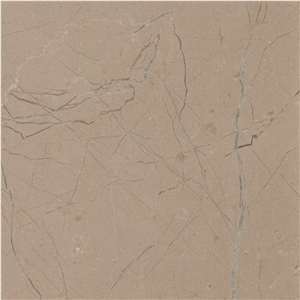 Regal Beige Marble