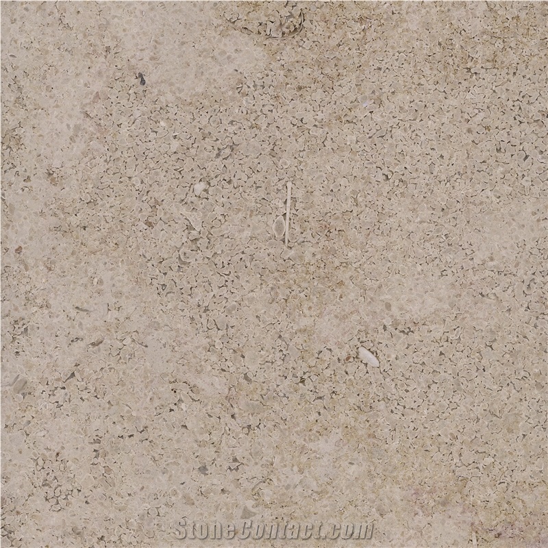 Rocherons Dore Limestone Tile