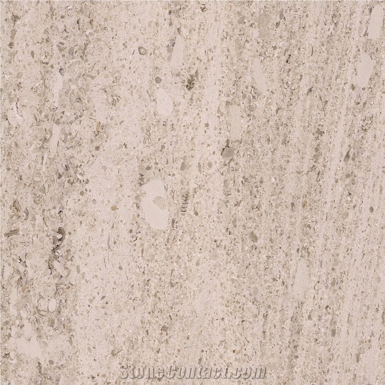 Sahara Pearl Limestone 