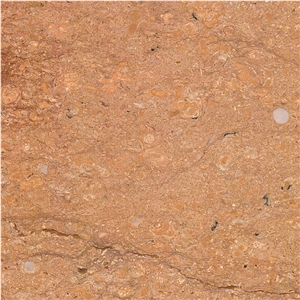 Saina Gold Limestone Tile