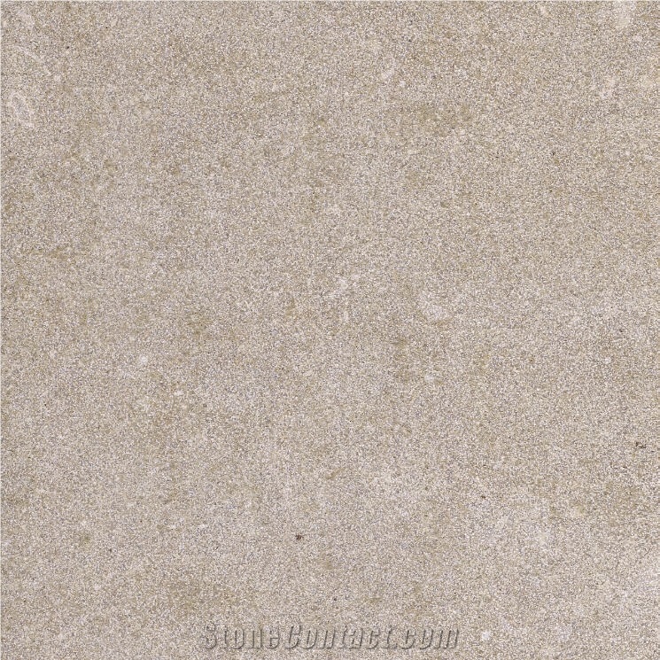 Salem Grey Limestone 