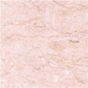Samaha Marble