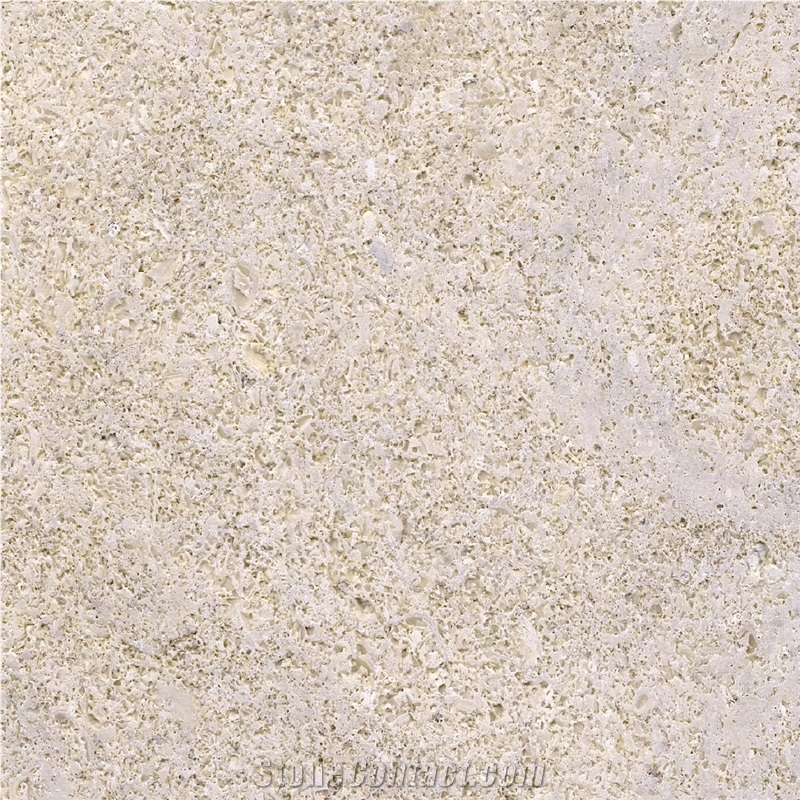 Sandbar Natural Limestone 