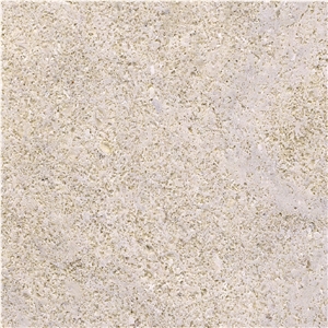 Sandbar Natural Limestone