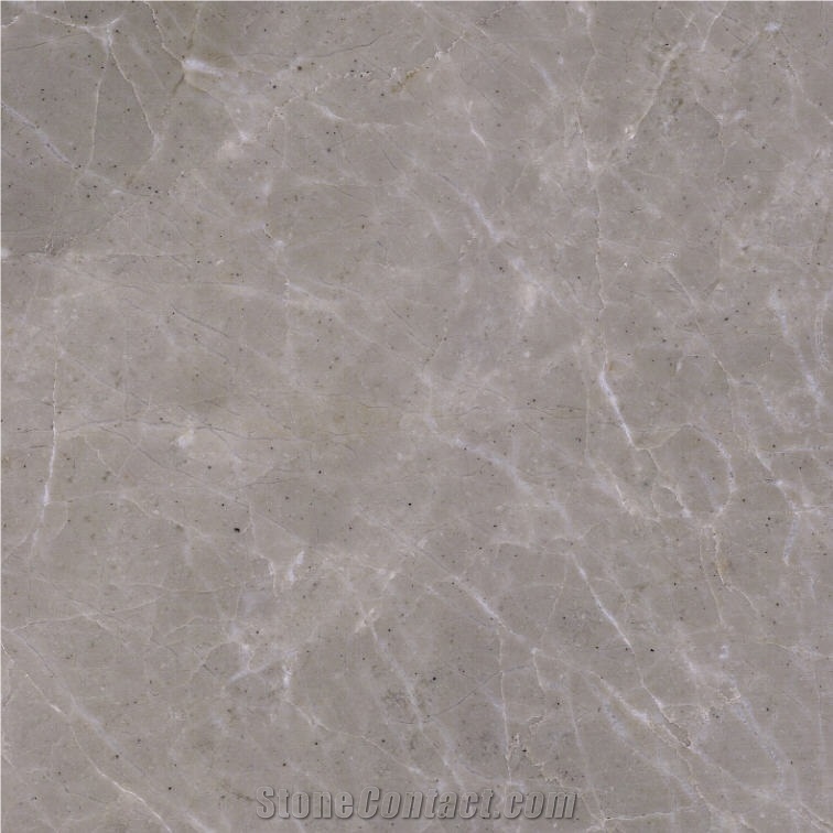Sania Grey Marble Tile