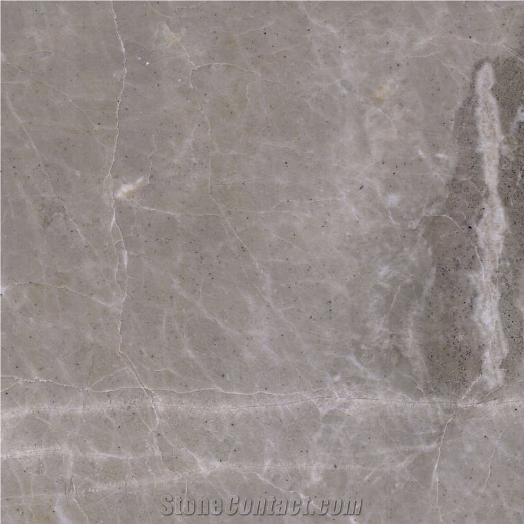 Sania Grey Marble Tile