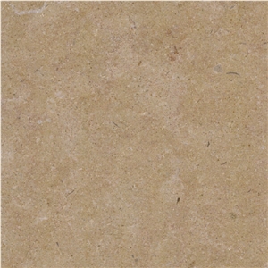 Savannah Sand