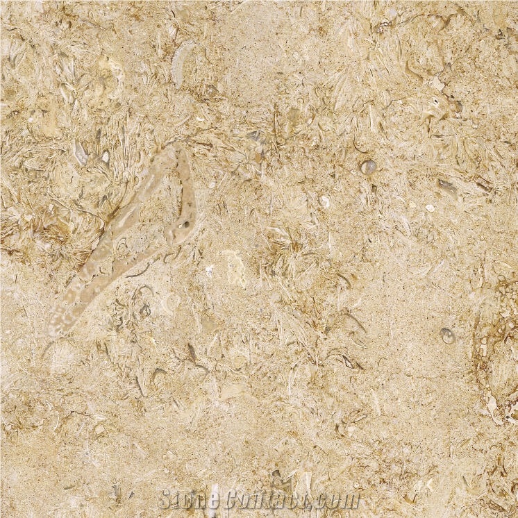 Seabed Gold Limestone Tile