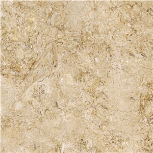Seabed Gold Limestone