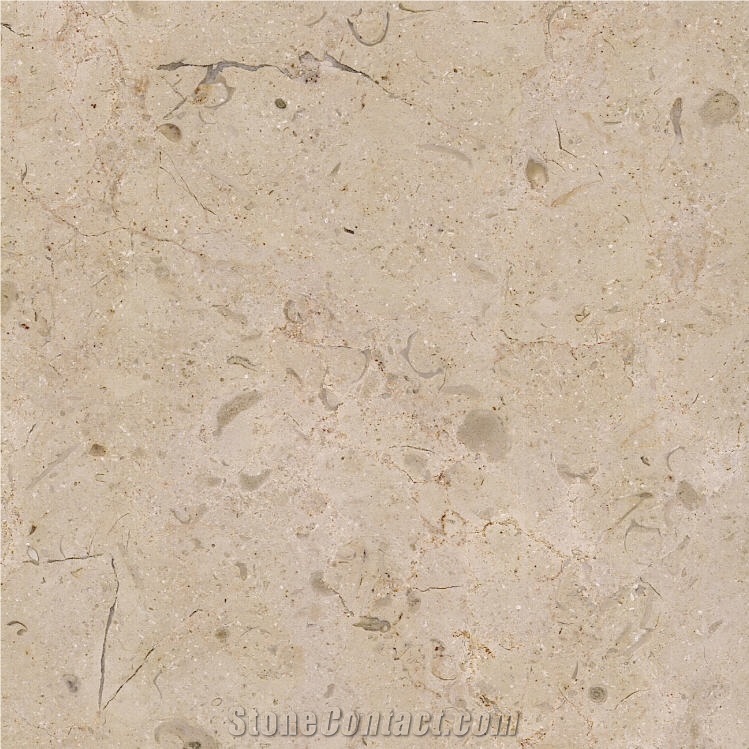 Selina Limestone Tile
