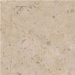 Selina Limestone
