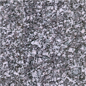 Shahin Dezh Violet Granite