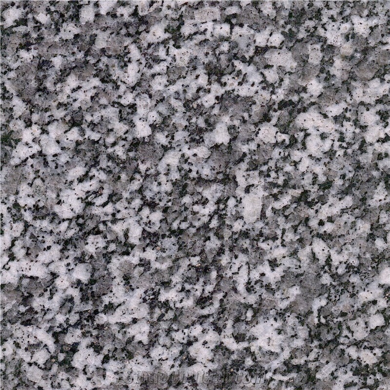 Shahin Dezh Violet Granite Tile
