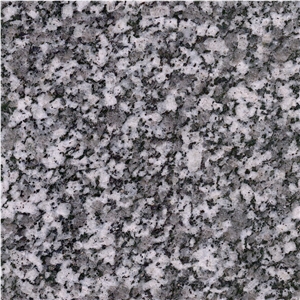 Shahin Dezh Violet Granite Tile
