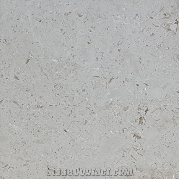 Shell Beige Limestone Tile