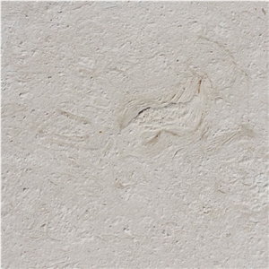 Shell Reef White Limestone