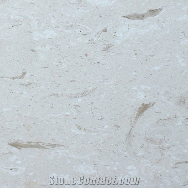 Shell Reef White Limestone Tile