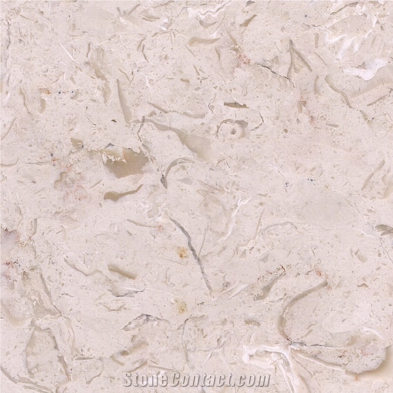 Shelly Beige Marble 