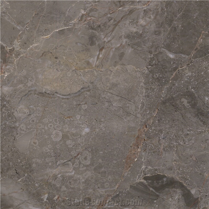 New Sicily Gray Marble Tile