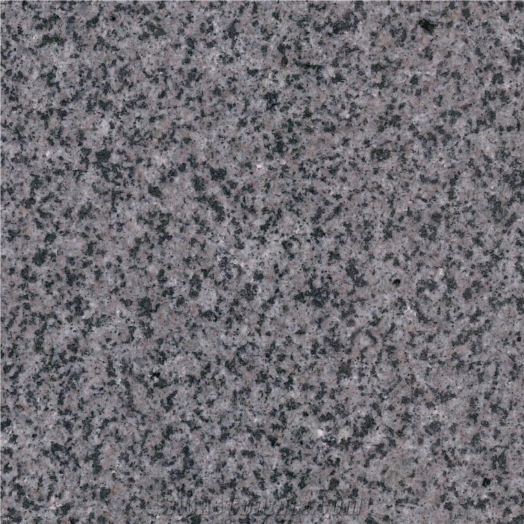 Silver Ash Granite 