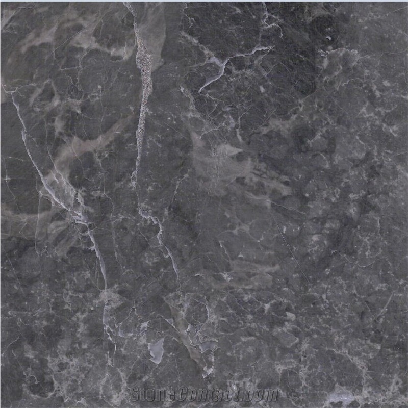 Silver Sable Marble Tile