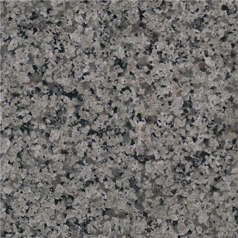 Silver Sea Green Granite 