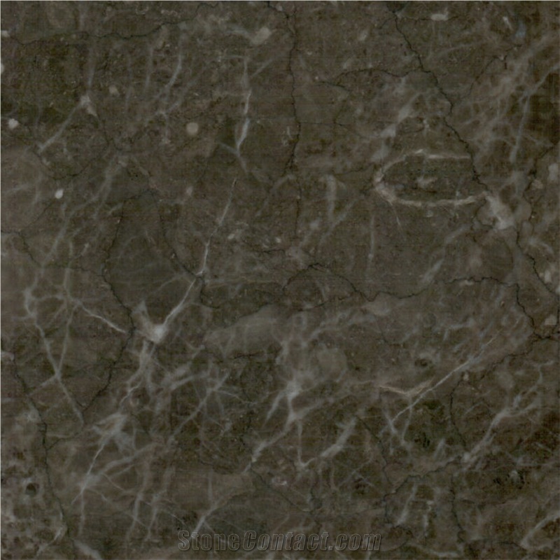 Silver Star Marble Tile
