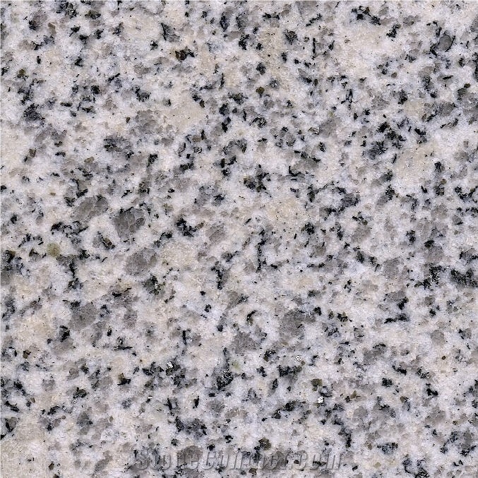 Silver White Granite 