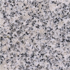 Silver White Granite