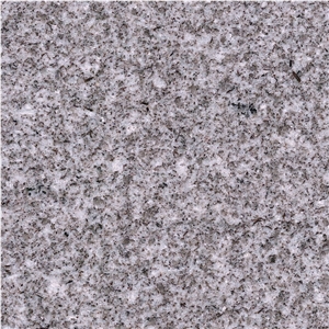 Silvestre Grey Granite