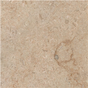Sunny Menia Marble