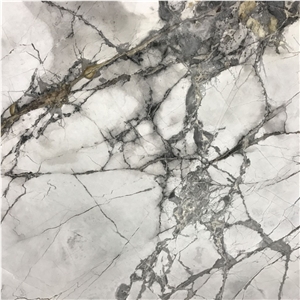 Sydney Quartzite