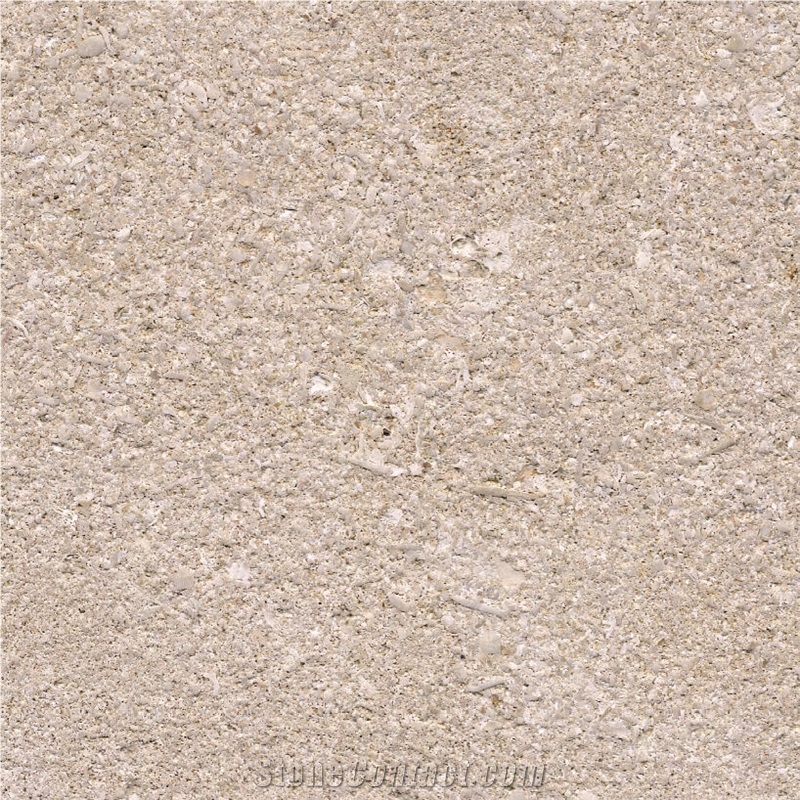 Tamala Limestone Tile