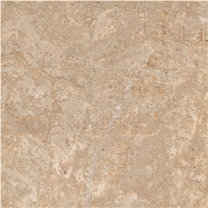 Terra Honey Limestone